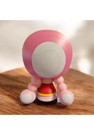 Super Mario Toadette