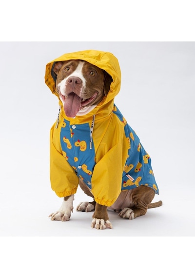 Pawstar Pekin Büyük Irk Yağmurluk