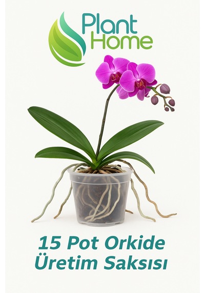 15 Pot Orkide Üretim Saksısı - 2 Adet