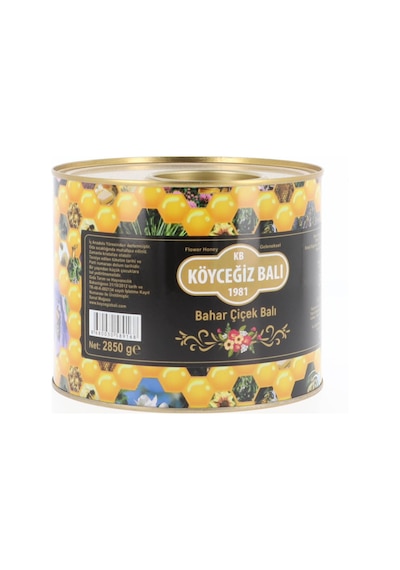 Köyceğiz Balı Bahar Çiçek Balı Teneke 2850 G