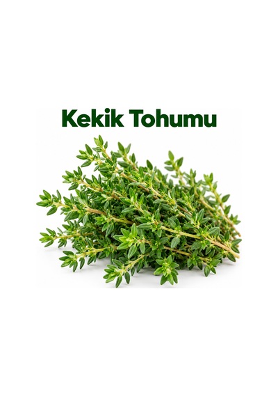 Sunagri Kekik Tohumu Saksı Bahçe Balkon Aromatik Bitki Yetiştiriciliği 40 Adet