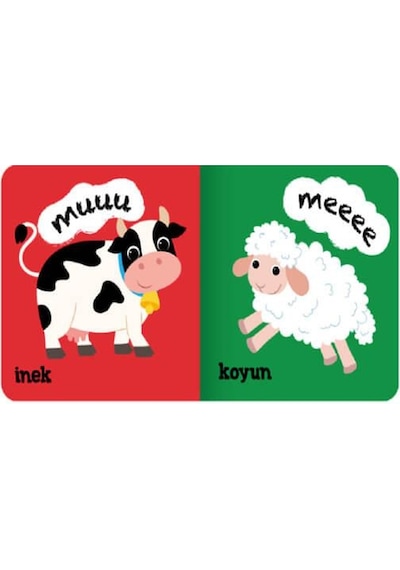 +1 Yaş Minik Kitaplar Hayvanlar Eolo Yayınları