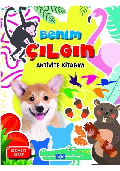 Benim Çılgın Aktivite Seti 4 Kitap
