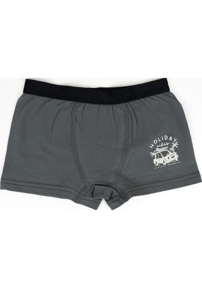 Bezos Erkek 2li Boxer Set K128997 Tek Adet Fiyatıdır Beden: 3-4 Yaş Renk: Asorti Bezos1 Çok Renkli