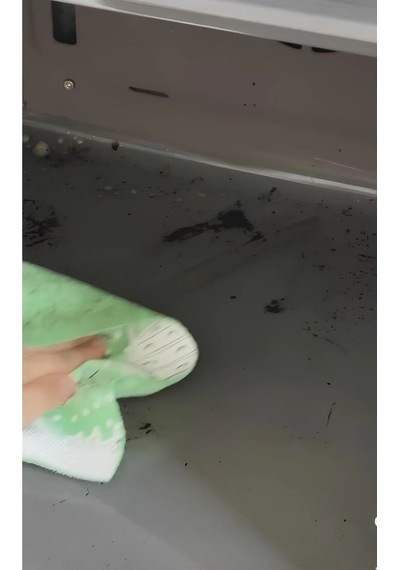 Fırın Temizleyici Tekli