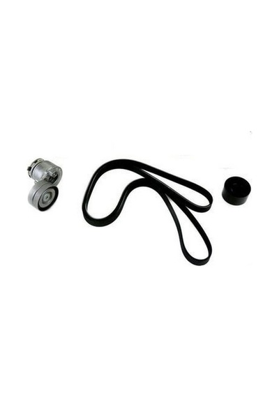 Alternatör Kayıs Kıtı 1.9 F9Q 117200713R