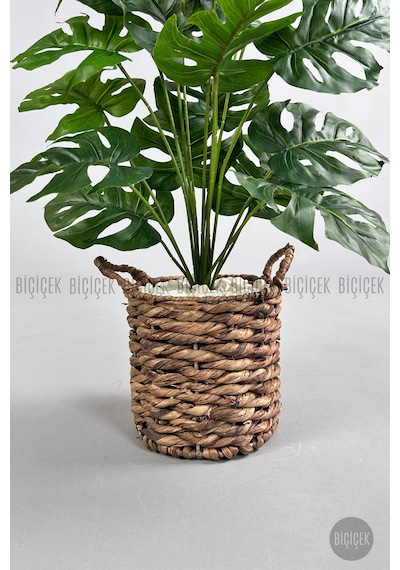 Yapay Monstera Deve Tabani 65 Cm Demi R Destekli Kulplu Hasir Saksıda Krem