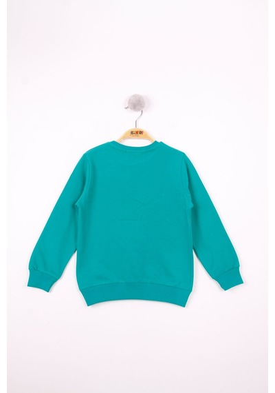 Toontoy Kids Toontoy Erkek Çocuk Relax Fit Bisiklet Yaka Baskılı Sweatshirt - 2 İplik Koyu Yeşil Toontoy Kids Toontoy Erkek Çocuk Relax Fit Bisiklet Yaka Baskılı Sweatshirt - 2 İplik Koyu Yeşil