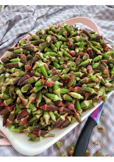 Saksılık Kınalı Bamya Tohumu Ekim Seti 5 Tohum +Saksı+Toprak+
