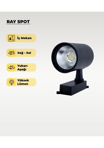 30w Siyah Ray Spot 4000k Gün Işığı Siyah