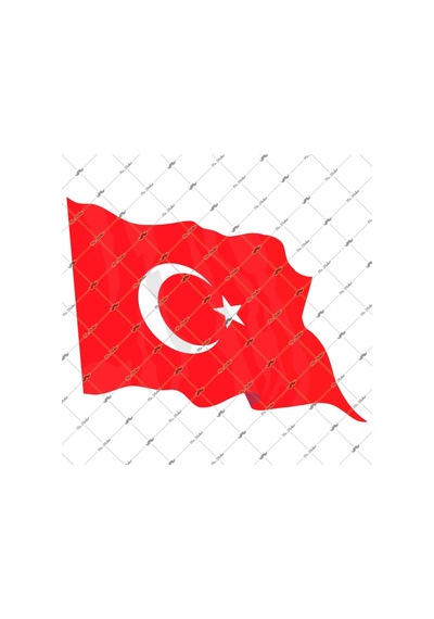 Bay Etiket Cfl13 Gercekci Efekt Dalgalanan Turk B. Sticker