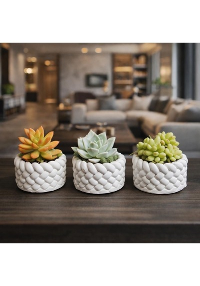 Tr 3'lü Mini Saksı Seti 5 Cm El Yapımı Dekoratif Beton Saksı Küçük Sukulent Saksısı, Masa & Raf Dekoru, Diğer