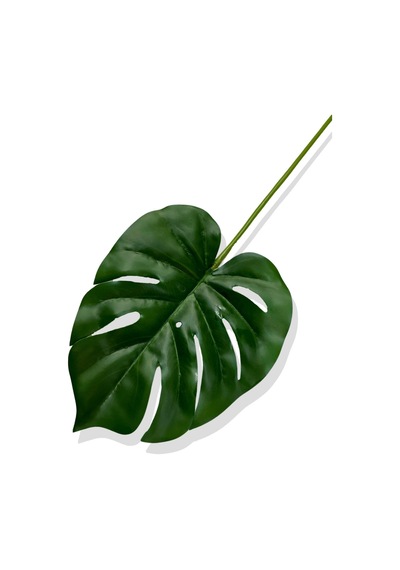 Cihan Çiçekçilik Yapay Tek Dal Monstera Yaprağı 68 Cm Yeşil