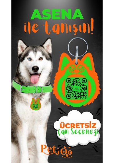 Petjoo 25.Asena Turuncu-Yeşil Qr'lı Köpek Künyesi