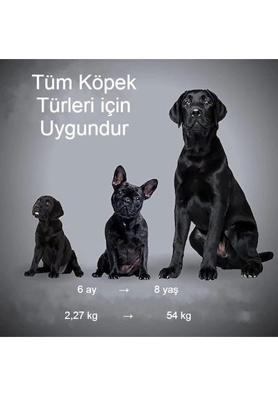 Ultrasonik Köpek Kovucu Usb Şarjlı Güvenli Ve İstenmeyen Havlamalara Son
