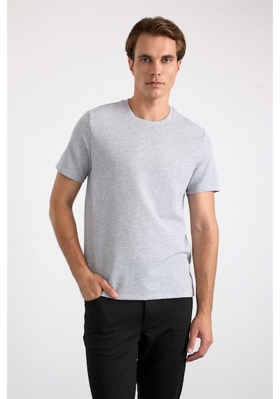 Süvari Gri Regular Bisiklet Yaka Tişört Sts1014000001-s05