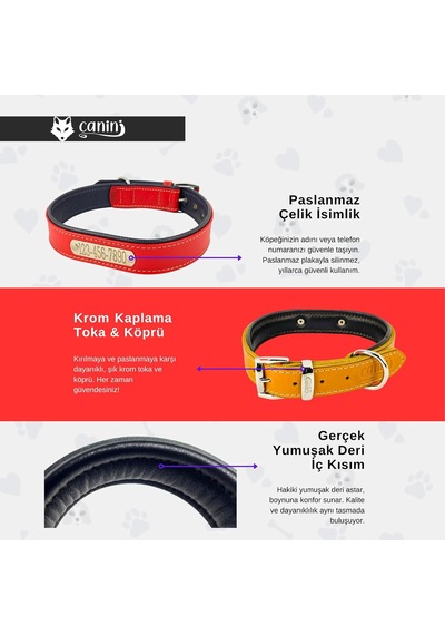 Kişiselleştirilmiş Hakiki Klasik Deri Köpek Tasma Lacivert, L