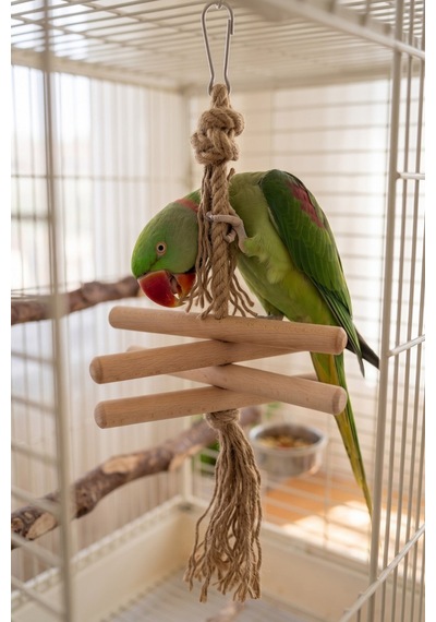 Mivra Pets Papağan Ahşap Kemirme Parçalama Stres Oyuncağı