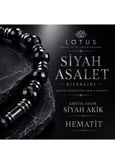 Siyah Asalet Bilekliği Kristal Kesim Siyah Akik, Hematit & Disk Hematit