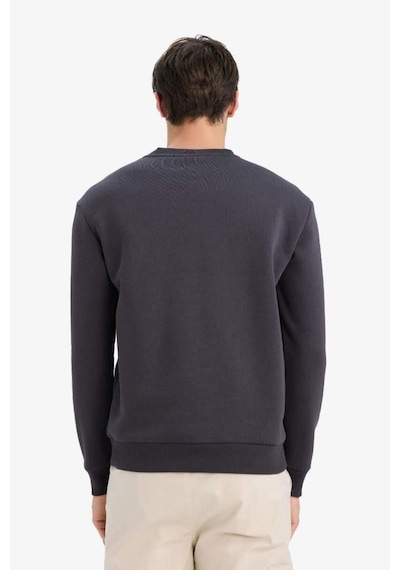 Defacto Regular Fit Bisiklet Yaka Basic Düz Kalın Sweatshirt T3777az25auar138 Antrasit