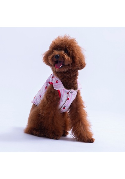 Moyo Pembe Çizgili Kalp Desen Yelek Köpek Yeleği Köpek Kıyafeti Köpek Yağmurluk