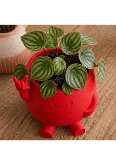 3d Baskı Smiley Face Planter - Gülümseyen Karakterli Saksı-kırmızı