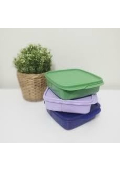 Tupperware Beslenme Kutusu 550 Ml Yeşil Genel
