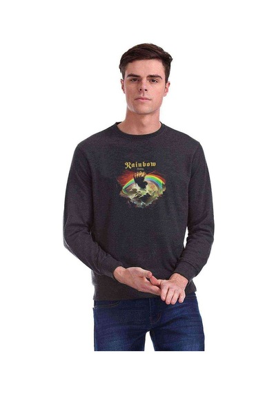 Rainbow Rising Baskılı Füme Erkek Örme Sweatshirt