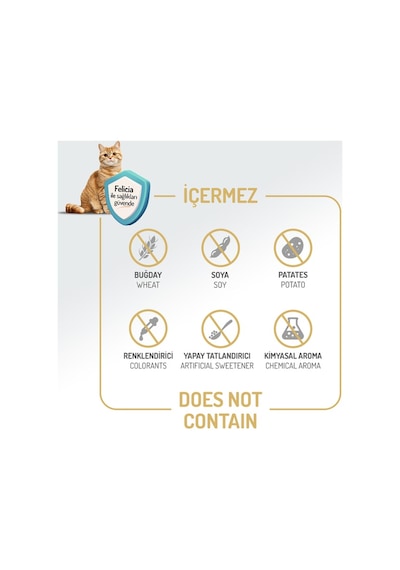 Felicia Urinary Care Sterilised Somonlu Kısırlaştırılmış Kedi Maması 2kg X 2 Adet