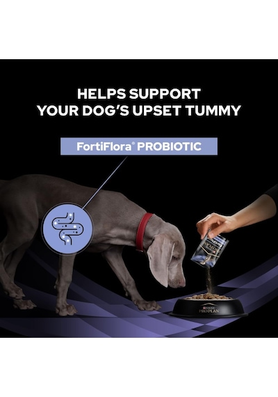 Pro Plan Vet Canıne Fortıflora Probıotıco 30x1gr