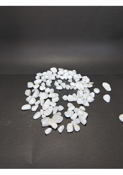 5 Kg Doğal Beyaz Dolomit Taşı 2-4 Cm Saksı Üstü Dekoratif Taş, Sukulent & Kaktüs Taşı