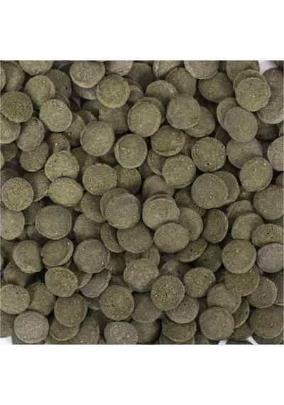 Tropical Hi Algae Discs 25 Gr Açık