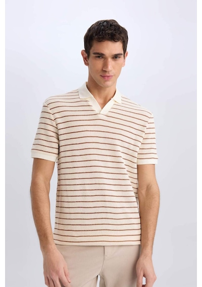 DeFacto Regular Fit Polo Yaka Çizgili Triko Kısa Kollu Tişört C4150AX25SMBN312