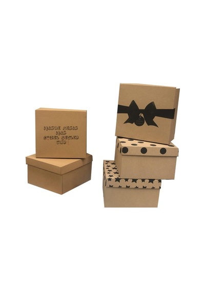 25X25X15 Cm E Ticaret Karton Kapaklı Kargo Kutusu
