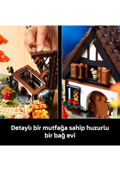 Icons Sonbahar Bağ Evi Bahçesi 11372