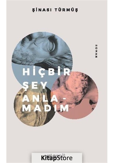 Hiçbir Şey Anlamadım / Şinasi Türmüş