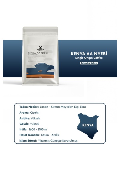 Kenya Aa Natural Kahve 100g Öğütülmüş Kahve Taze Kavrulmuş Chemex