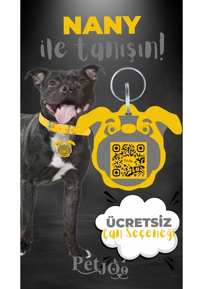 Petjoo 17.Nany Gri-Sarı Qr'lı Köpek Künyesi