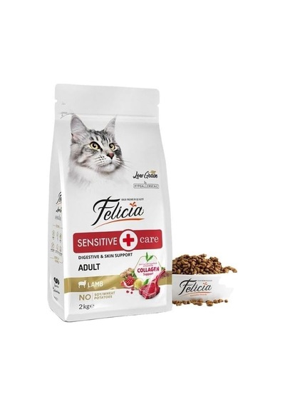 Kuzu Etli Yetişkin Kedi Maması Düşük Tahıllı Hipoalerjenik 2 Kg