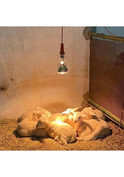 Anakucağı Isıtıcı Set , Dijital Termostatlı . Aydınlatmalı, Isıtıcı Lamba Hariç Set
