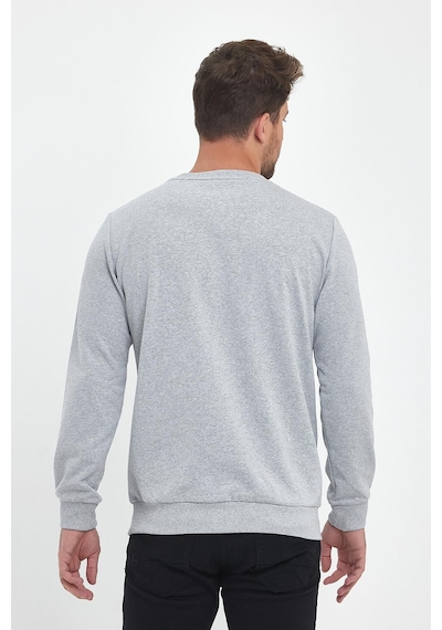 Erkek Gri Bisiklet Yaka Nakış Detaylı Regular Fit Sweatshirt Grı