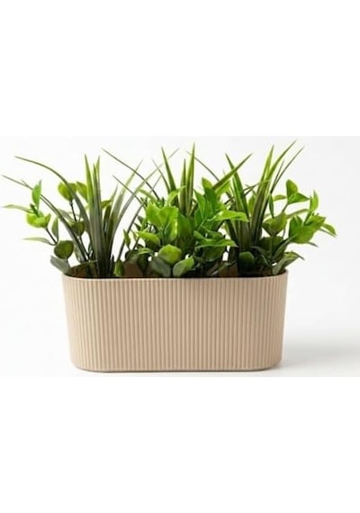 Dekoratif Yapay Sukulent Bitki Saksısı Modern Masaüstü Yapay Bitki Aranjmanı, Dekoratif Plastik Saksı İle Ev, Ofis Ve Raf Dekoru 16 X 7 Cm 50 x 22 Dekoratif Yapay Sukulent Bitki Saksısı Modern Masaüstü Yapay Bitki Aranjmanı, Dekoratif Plastik Saksı İle Ev, Ofis Ve Raf Dekoru 16 X 7 Cm 50 x 22