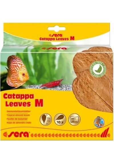 Sera Catappa Yaprağı M 18 CM (10 Adet)