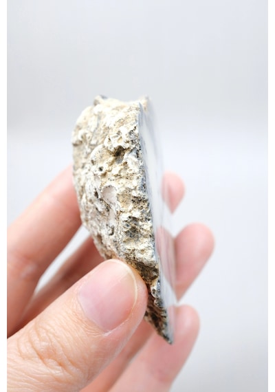 Krem Ve Beyaz Renkli Merlinit - Krem Dendritik Opal İle Jet-siyah Ağaç İçerikler