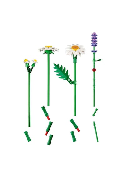 Botanicals Papatyalar 11508