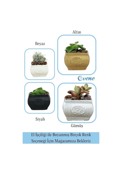 Mini Çiçek Saksı Küçük Sukulent Kaktüs Saksısı 3'lü Set Mini Çizgili Çiçekli Model - Siyah