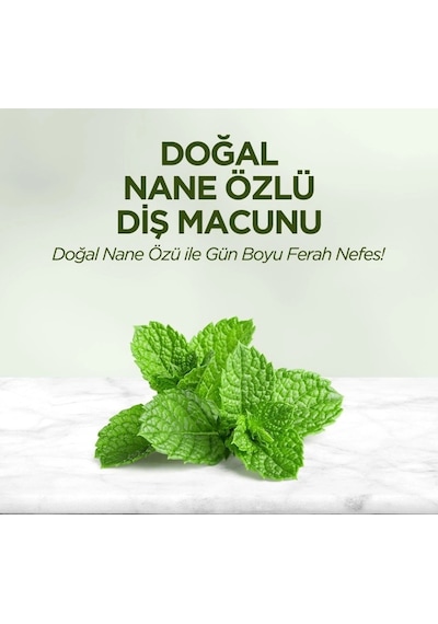 Mey İthalat Doğal Diş Macunu 90 Gr Nane Özlü Renkli