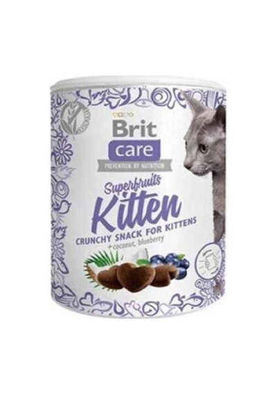 Yavru Kedi Ödül Maması 100 Gr Hindistan Cevizli Ve Yaban Mersinli Lezzetli Atıştırmalık
