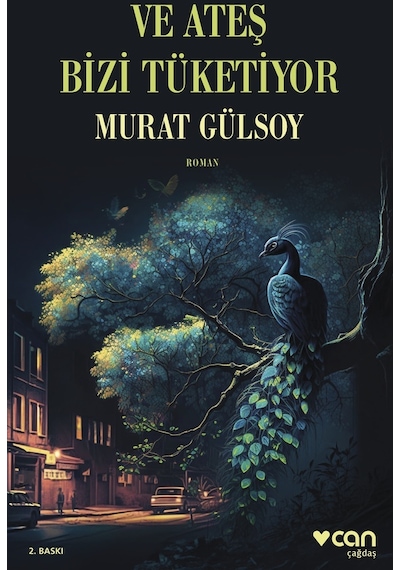 Ve Ateş Bizi Tüketiyor - Murat Gülsoy -  Can Yayınları