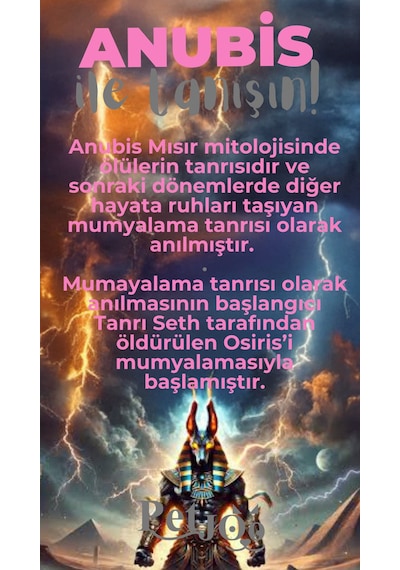 Petjoo 30.Anubis Gri-Pembe Qr'lı Köpek Künyesi